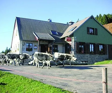 Suppression Σαλέ Muhlbach-sur-Munster